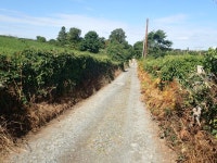 View WNW along Wild Forest Lane © Eric Jones :: Geograph Britain and Ireland View WNW along Wild Forest Lane &copy; Eric Jones