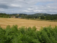 View to Gold Hill Farm © Philip Halling :: Geograph Britain and Ireland View to Gold Hill Farm &copy; Philip Halling