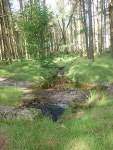 Stream entering culvert beneath a path... © Eric Jones :: Geograph Britain and Ireland Stream entering culvert beneath a path...... 