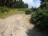 Signs of water erosion on path in... © Eric Jones cc-by-sa/2.0 :: Geograph Britain and Ireland Signs of water erosion on path... 