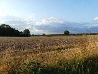 Arable landscape © David Pashley cc-by-sa/2.0 :: Geograph Britain and Ireland Arable landscape &copy; David Pashley cc-by-sa/2.0