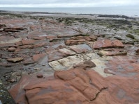 Coastal rocks below the lower Promenade © Oliver Dixon cc-by-sa/2.0 :: Geograph Britain and Ireland Coastal rocks below the... 