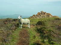 Guarding Totherin Cairn © Mary and Angus Hogg :: Geograph Britain and Ireland Guarding Totherin Cairn &copy; Mary and Angus Hogg
