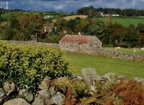 Grazing sheep by a field barn off Wild... © Eric Jones cc-by-sa/2.0 :: Geograph Britain and Ireland Grazing sheep by a field... 