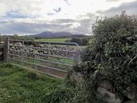 Field gate on Burrenbridge Road © Eric Jones :: Geograph Britain and Ireland Field gate on Burrenbridge Road &copy; Eric Jones