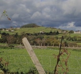 View across the wooded Burren Valley... © Eric Jones cc-by-sa/2.0 :: Geograph Britain and Ireland View across the wooded Burren... 
