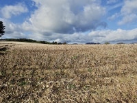 Harvested field awaiting re-ploughing © Eric Jones cc-by-sa/2.0 :: Geograph Britain and Ireland Harvested field awaiting re... 
