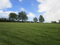 Grass field near Illston Grange © Jonathan Thacker cc-by-sa/2.0 :: Geograph Britain and Ireland Grass field near Illston Grange... 