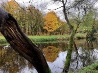 Camowen River © Kenneth Allen :: Geograph Britain and Ireland Camowen River &copy; Kenneth  Allen