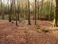 Site of Crowborough Warren Furnace © Simon Carey :: Geograph Britain and Ireland Site of Crowborough Warren Furnace &copy; Simon... 