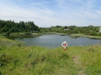Pond at Aberthaw Nature Reserve © Eirian Evans :: Geograph Britain and Ireland Pond at Aberthaw Nature Reserve &copy; Eirian Evans