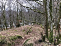 Atop a small tree covered hill in... © Steven Brown :: Geograph Britain and Ireland Atop a small tree covered hill in...... 