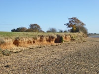 Very low cliff, Holbrook Bay © Robin Webster :: Geograph Britain and Ireland Very low cliff, Holbrook Bay &copy; Robin Webster