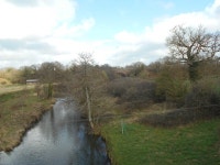 River Otter at Fenny Bridges © Anthony Vosper cc-by-sa/2.0 :: Geograph Britain and Ireland River Otter at Fenny Bridges... 