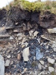 Bog Oil © Robert Bone :: Geograph Britain and Ireland Bog Oil &copy; Robert Bone