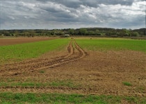 Farmland south of Lady Gap Lane © Neil Theasby cc-by-sa/2.0 :: Geograph Britain and Ireland Farmland south of Lady Gap Lane... 