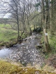 Afon Tarell © Alan Hughes :: Geograph Britain and Ireland Afon Tarell &copy; Alan Hughes