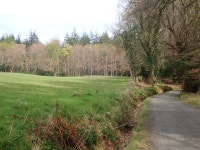 Tarred estate road separating parkland... © Eric Jones cc-by-sa/2.0 :: Geograph Britain and Ireland Tarred estate road... 