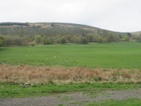 Pasture below Hillfoot Hill © M J Richardson cc-by-sa/2.0... Ireland Pasture below Hillfoot Hill &copy; M J Richardson cc-by-sa/2.0