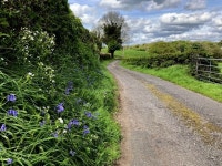 Mellon Road, Castletown © Kenneth Allen cc-by-sa/2.0 :: Geograph Britain and Ireland Mellon Road, Castletown &copy; Kenneth... 