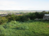 Broom on Kincorth Hill © Scott Cormie cc-by-sa/2.0 :: Geograph Britain and Ireland Broom on Kincorth Hill &copy; Scott Cormie cc... 