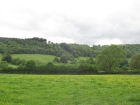 Meadow, Blakemere © Richard Webb cc-by-sa/2.0 :: Geograph Britain and Ireland Meadow, Blakemere &copy; Richard Webb cc-by-sa/2.0