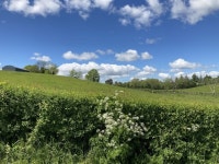 Clouds, Drumconnelly © Kenneth Allen :: Geograph Britain and Ireland Clouds, Drumconnelly &copy; Kenneth  Allen