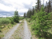 Logging road, Galloway © Richard Webb :: Geograph Britain and Ireland Logging road, Galloway &copy; Richard Webb