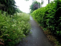 Path, Gortrush, Omagh © Kenneth Allen :: Geograph Britain and Ireland Path, Gortrush, Omagh &copy; Kenneth  Allen