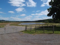 The new pond by The Poplars © David Brown cc-by-sa/2.0 :: Geograph Britain and Ireland The new pond by The Poplars &copy; David... 