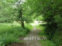 Public footpath FP403 © Robin Webster :: Geograph Britain and Ireland Public footpath FP403 &copy; Robin Webster