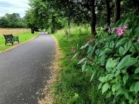 Hymalayan balsam, Highway to Health... © Kenneth Allen cc-by-sa/2.0 :: Geograph Britain and Ireland Hymalayan balsam, Highway to... 