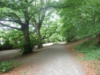 Approaching track junction west of... © Eric Jones cc-by-sa/2.0 :: Geograph Britain and Ireland Approaching track junction west... 