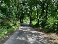 A shady walk along Blackfort Road © Kenneth Allen :: Geograph Britain and Ireland A shady walk along Blackfort Road... 