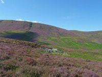 Lower Slopes of Drumelzier Law © Adam Ward :: Geograph Britain and Ireland Lower Slopes of Drumelzier Law &copy; Adam Ward