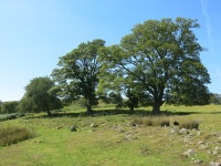 The site of Ayhope Shield © Mike Quinn :: Geograph Britain and Ireland The site of Ayhope Shield &copy; Mike Quinn