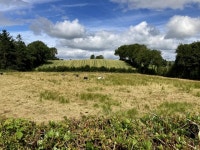 Dervaghroy Townland © Kenneth Allen :: Geograph Britain and Ireland Dervaghroy Townland &copy; Kenneth  Allen