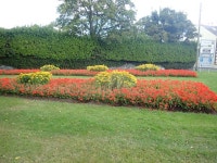 Orange Order flower beds opposite... © Eric Jones cc-by-sa/2.0 :: Geograph Britain and Ireland Orange Order flower beds... 
