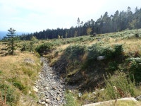 Bone dry tributary of the Glen River © Eric Jones cc-by-sa/2.0 :: Geograph Britain and Ireland Bone dry tributary of the Glen... 