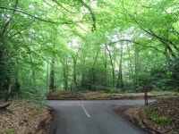 Road junction, Pumpkin Hill © JThomas cc-by-sa/2.0 :: Geograph Britain and Ireland Road junction, Pumpkin Hill &copy; JThomas cc... 
