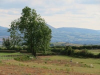 A corner of the common © Gordon Hatton cc-by-sa/2.0 :: Geograph Britain and Ireland A corner of the common &copy; Gordon Hatton... 