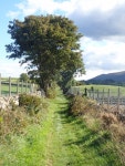 View SSE along the green lane © Eric Jones :: Geograph Britain and Ireland View SSE along the green lane &copy; Eric Jones