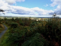 Flowering whins on the Bunkers Hill Walk © Eric Jones cc-by-sa/2.0 :: Geograph Britain and Ireland Flowering whins on the... 
