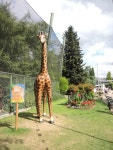 A suggestion of a giraffe © Neil Owen :: Geograph Britain and Ireland A suggestion of a giraffe &copy; Neil Owen