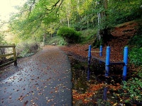 Fallen leaves along the Highway to... © Kenneth Allen :: Geograph Britain and Ireland Fallen leaves along the Highway to...... 