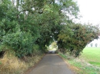 Farm road, Chapel Brampton © JThomas :: Geograph Britain and Ireland Farm road, Chapel Brampton &copy; JThomas
