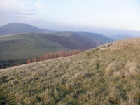 West side of Craik Moor © Richard Webb :: Geograph Britain and Ireland West side of Craik Moor &copy; Richard Webb