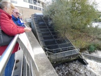 Freemans Reach Hydro Generator © Gerald England :: Geograph Britain and Ireland Freemans Reach Hydro Generator &copy; Gerald England