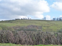 Landslips on Muswell Hill © Robin Webster cc-by-sa/2.0 :: Geograph Britain and Ireland Landslips on Muswell Hill &copy; Robin... 