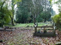 Graveyard, Merstham © Robin Webster cc-by-sa/2.0 :: Geograph Britain and Ireland Graveyard, Merstham &copy; Robin Webster cc-by... 